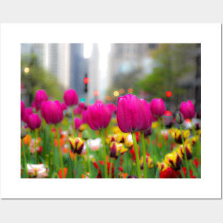 Tulips in Chicago Posters and Art